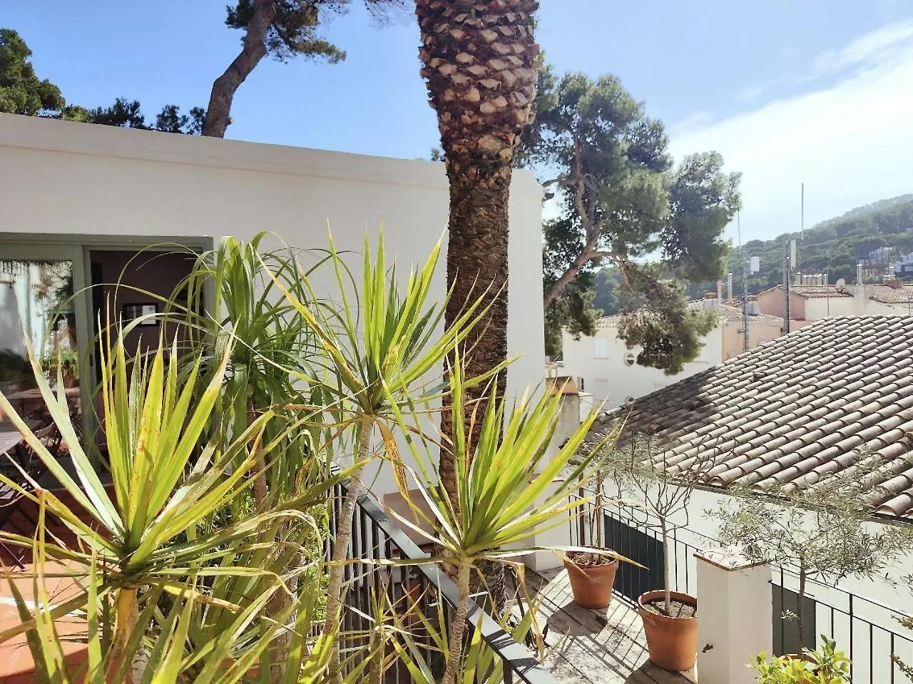 T2 - Sunny Duplex With Garden 50M From Beach Tamariu Apartament