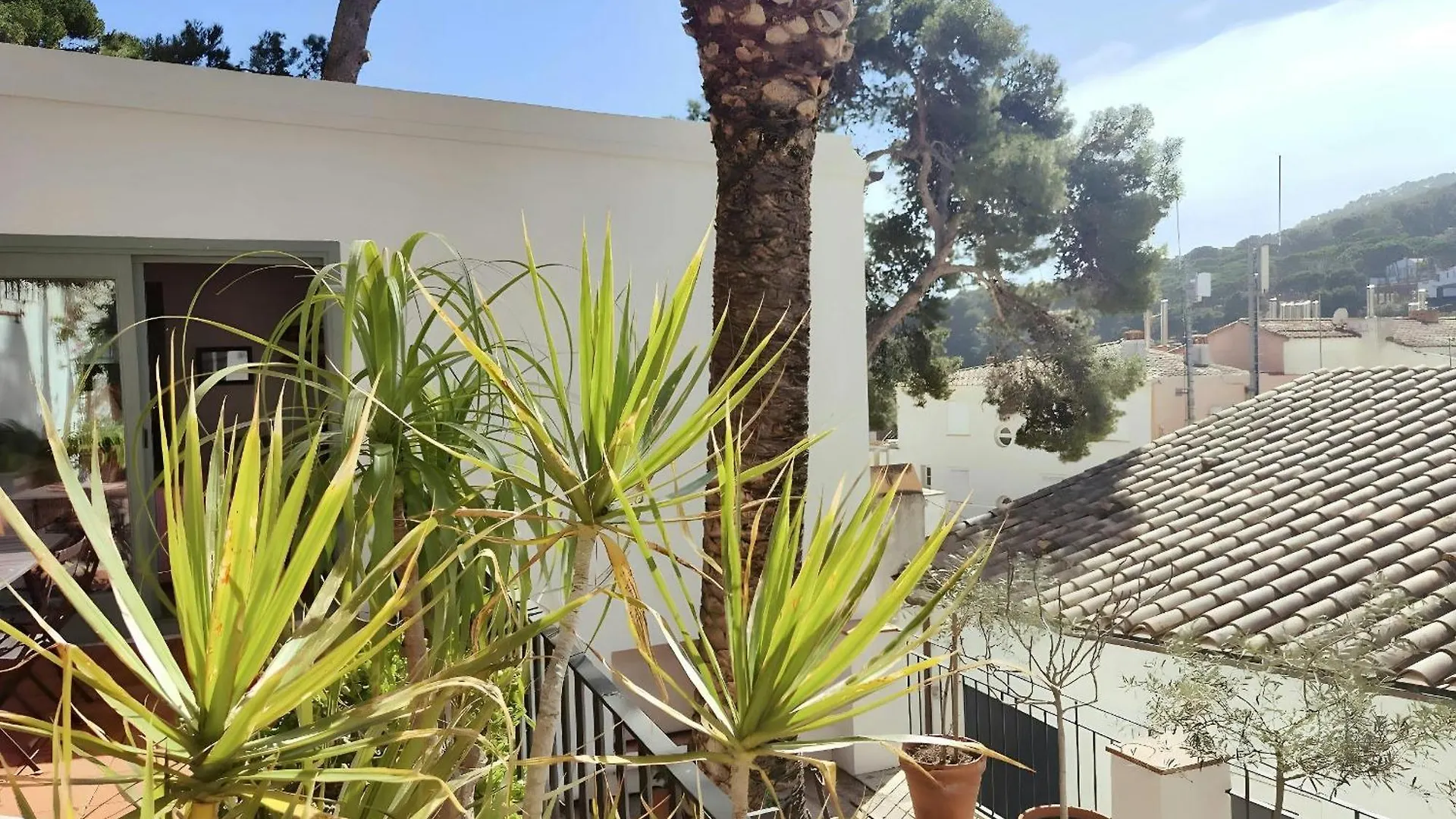T2 - Sunny Duplex With Garden 50M From Beach Tamariu Apartament